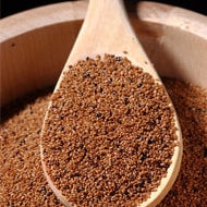 New Super Grain Teff