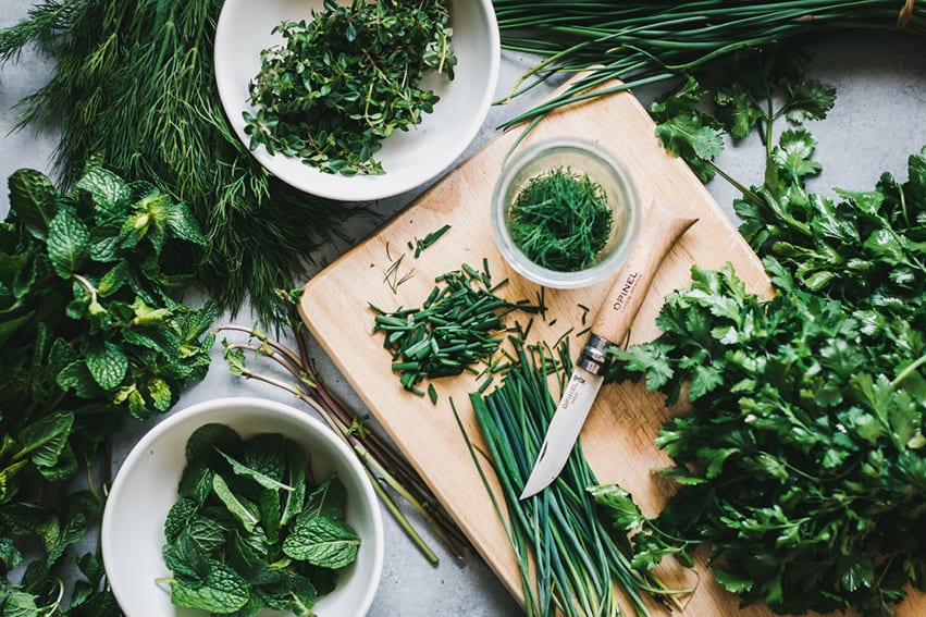 OREGANO: THE HERO HERB
