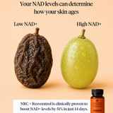 NAD+ Booster: NRC + Resveratrol
