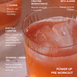 Creatine + Brain Fuel + Focus