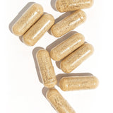 Metabolism Support Power Duo — Choc Twist